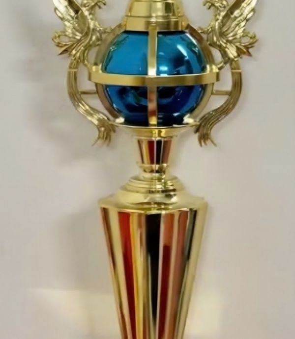 CÚP BIDA - MIỄN PHÍ IN