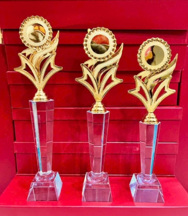 Cúp Pha Lê - Miễn Phí In