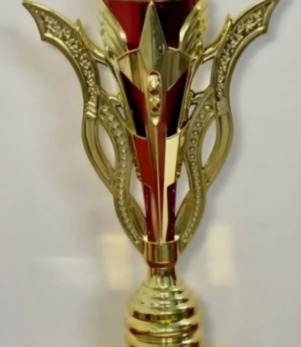 CÚP BIDA - MIỄN PHÍ IN