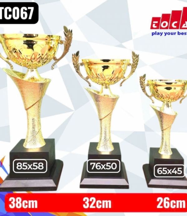 Cúp Vàng 3 Size - Miễn Phí In