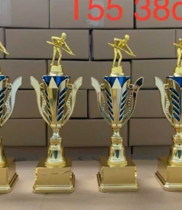 CÚP BIDA - MIỄN PHÍ IN