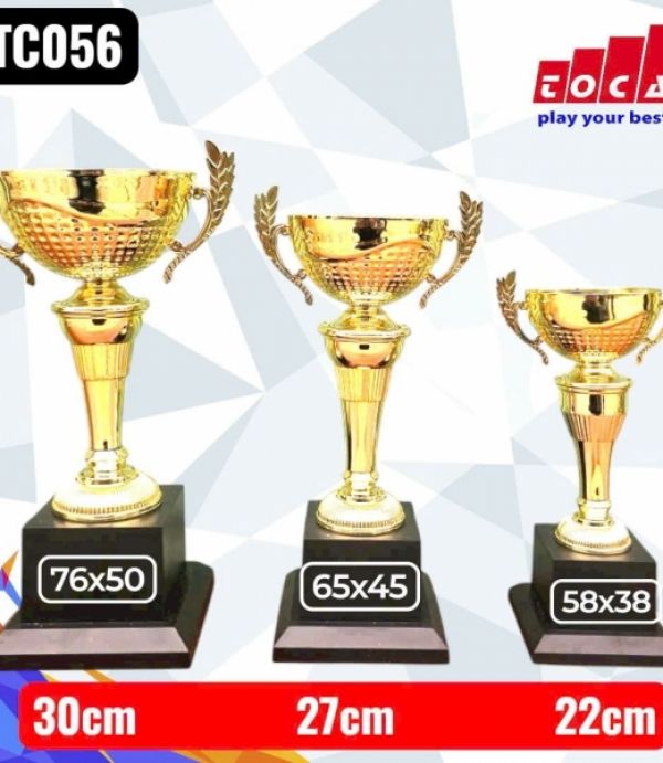 Cúp Vàng 3 Size - Miễn Phí In