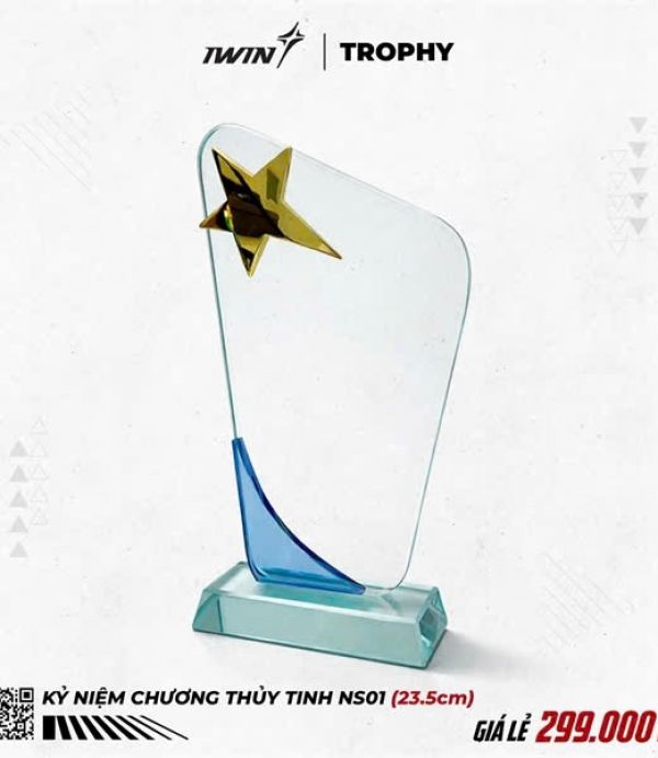 Kỷ Niệm Chương Thủy Tinh Iwin