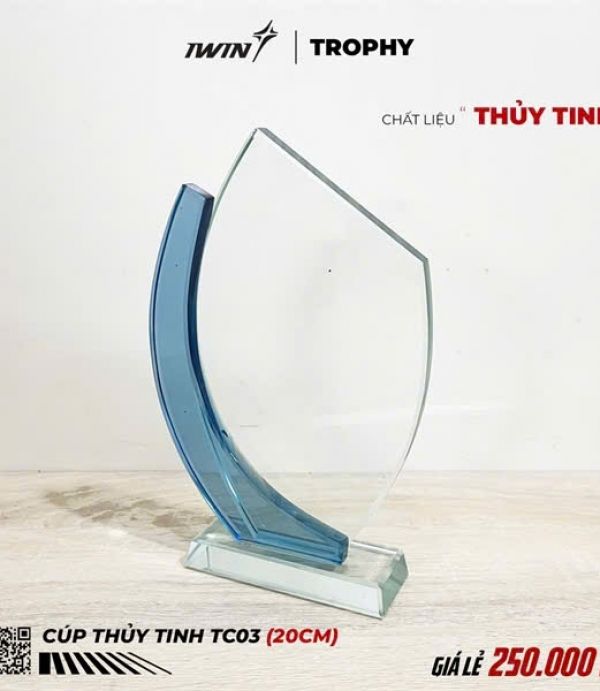 Kỷ Niệm Chương Thủy Tinh Iwin