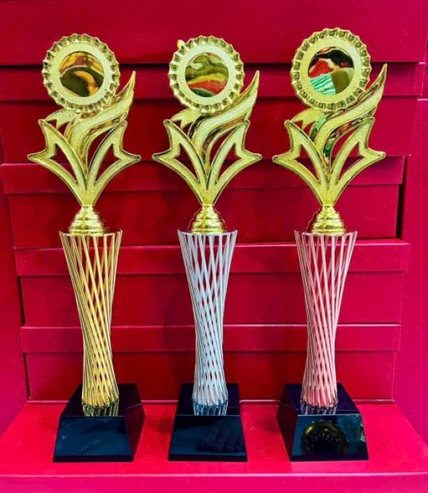 Cúp Pha Lê - Miễn Phí In